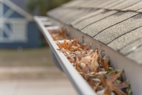 Leaf Barrier Installation in Dacula